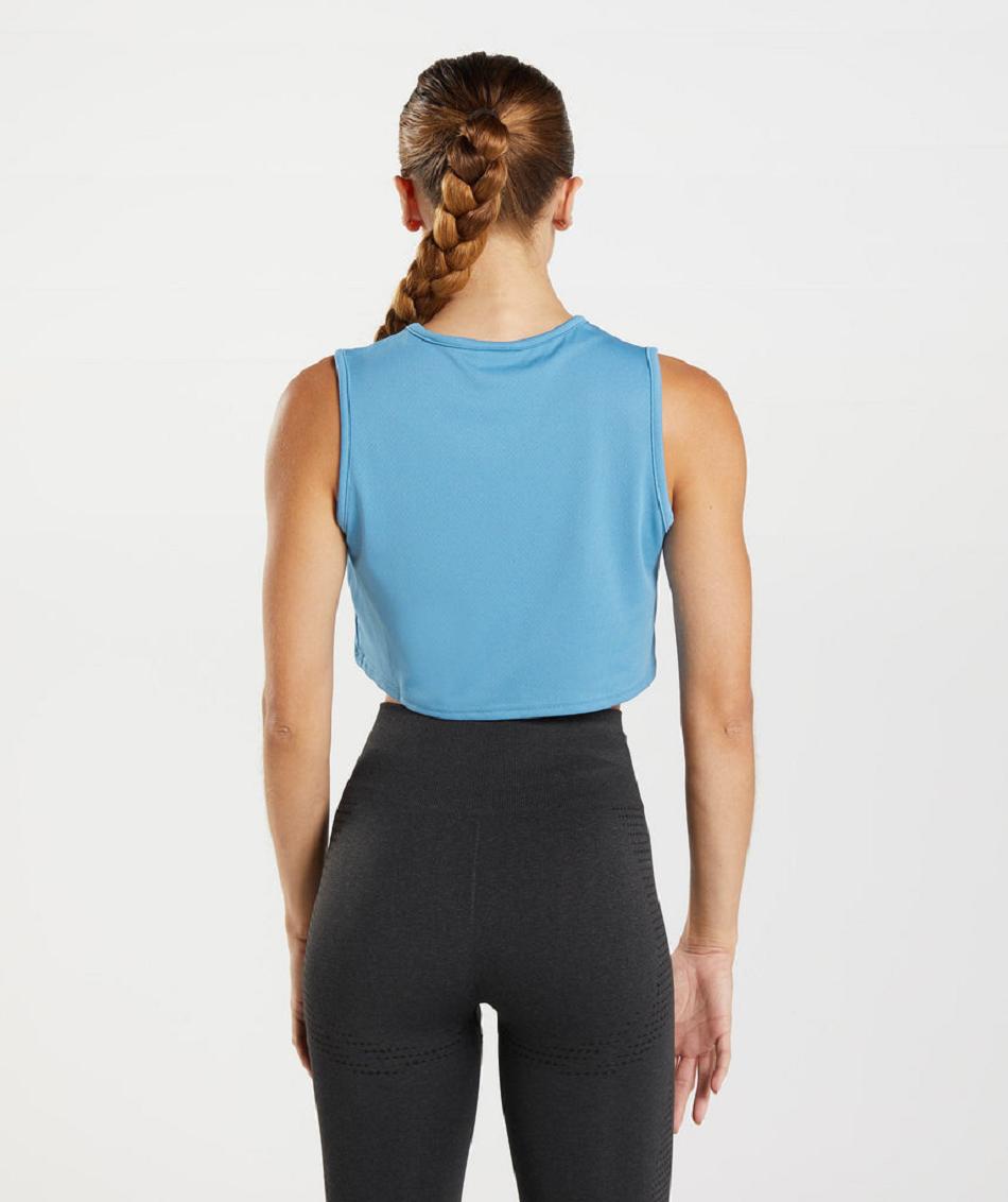 αμανικα μπλουζακια Gymshark Training Crop γυναικεια μπλε | GR_EC4387