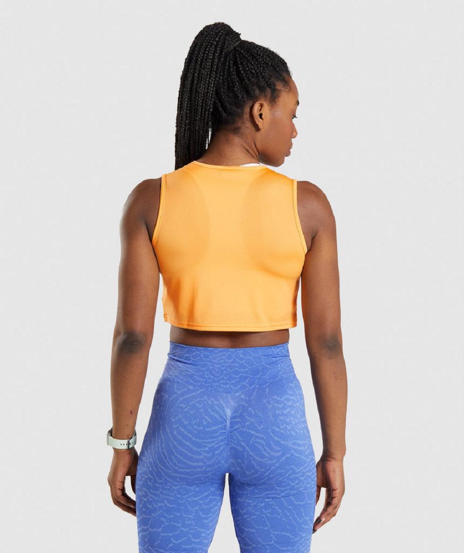 αμανικα μπλουζακια Gymshark Training Crop γυναικεια βερίκοκο πορτοκαλι | GR_VV7670