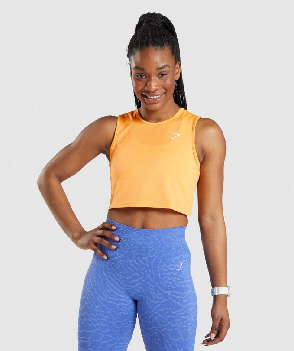 αμανικα μπλουζακια Gymshark Training Crop γυναικεια βερίκοκο πορτοκαλι | GR_VV7670