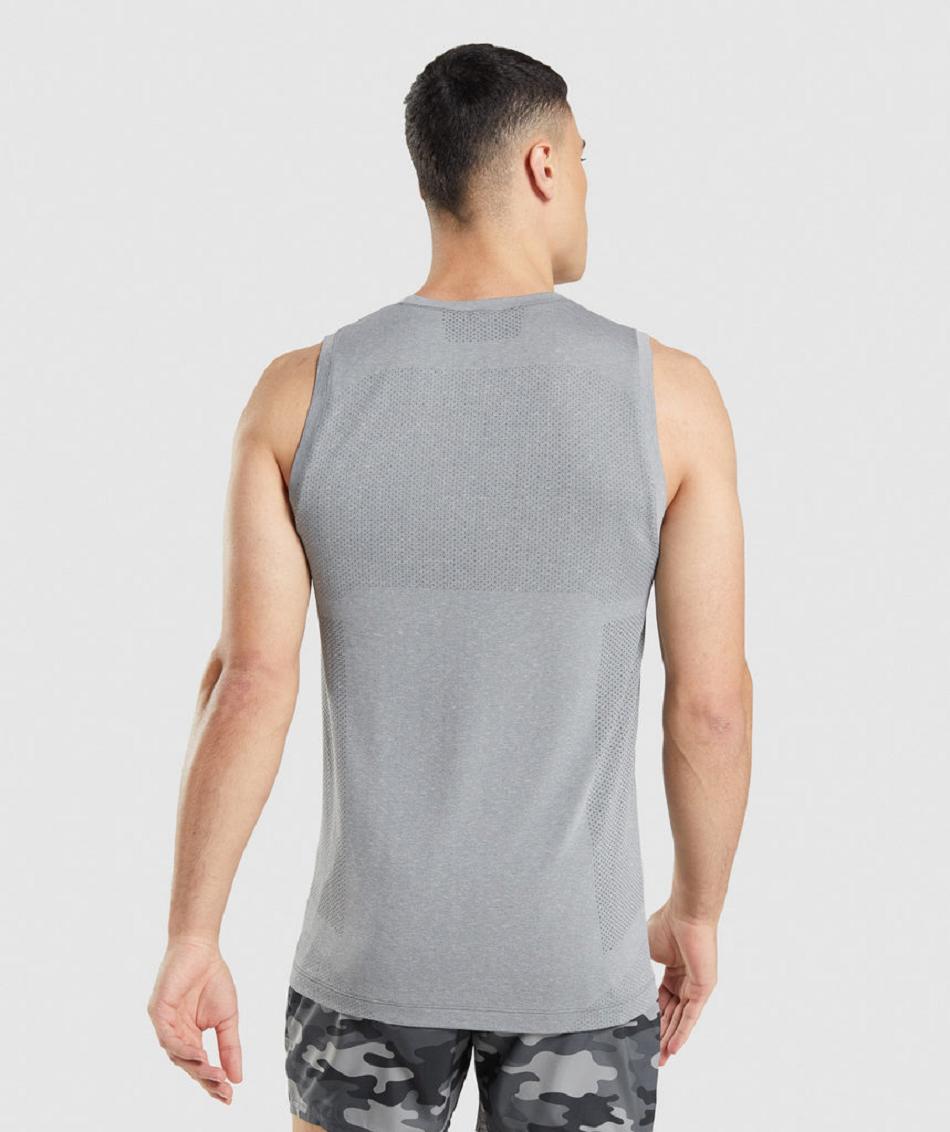 αμανικα μπλουζακια Gymshark Vital Seamless Light ανδρικα γκρι | GR_YJ3422