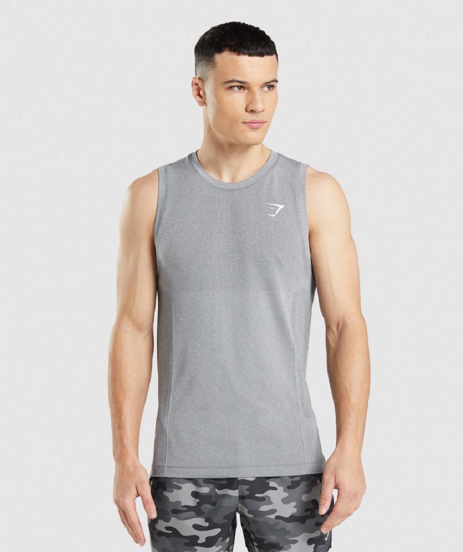αμανικα μπλουζακια Gymshark Vital Seamless Light ανδρικα γκρι | GR_YJ3422