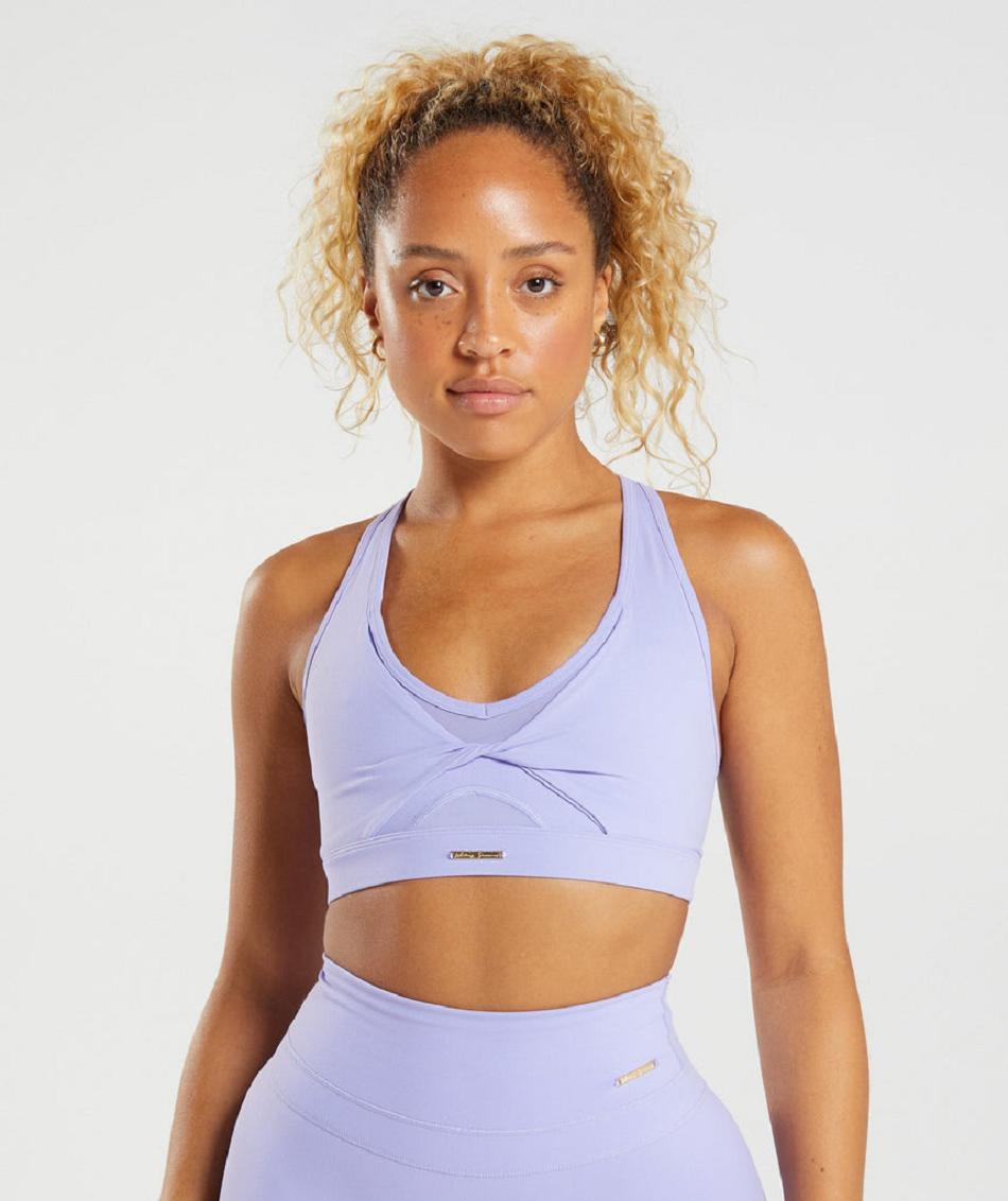 Αθλητικο Σουτιεν Gymshark Whitney Mesh γυναικεια μωβ | GR_QX3843