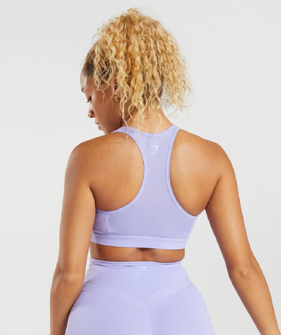Αθλητικο Σουτιεν Gymshark Whitney Mesh γυναικεια μωβ | GR_QX3843