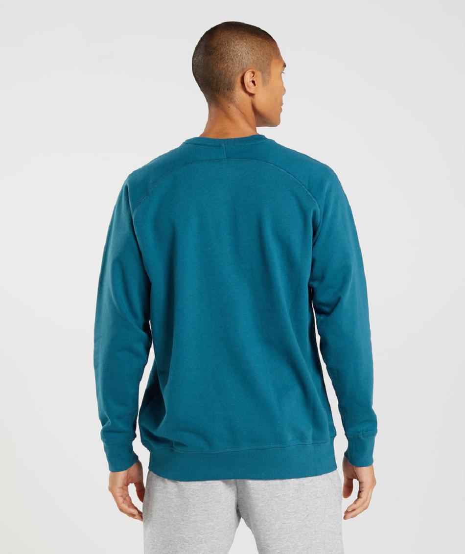 τρέξιμο με κουκούλα Gymshark Apollo Crew ανδρικα μπλε | GR_CG5506