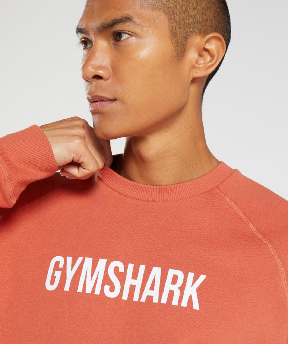 τρέξιμο με κουκούλα Gymshark Apollo Crew ανδρικα κοκκινα | GR_EC1691