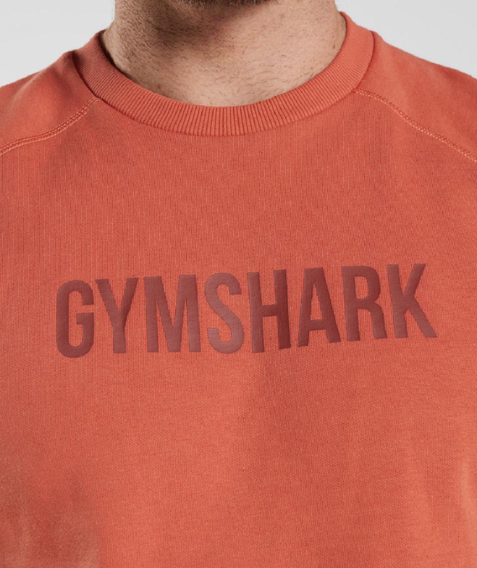 τρέξιμο με κουκούλα Gymshark Apollo Crew ανδρικα κοκκινα | GR_ZI8572