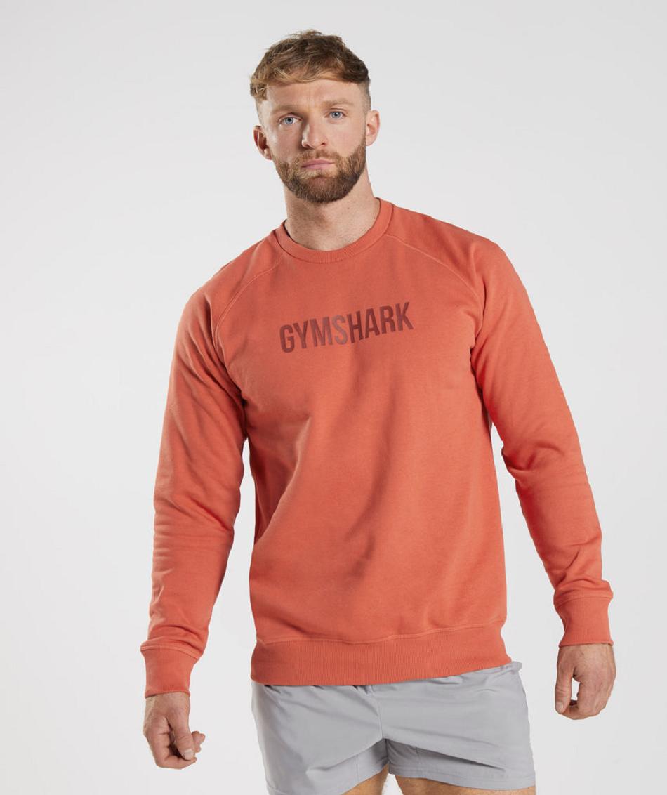 τρέξιμο με κουκούλα Gymshark Apollo Crew ανδρικα κοκκινα | GR_ZI8572