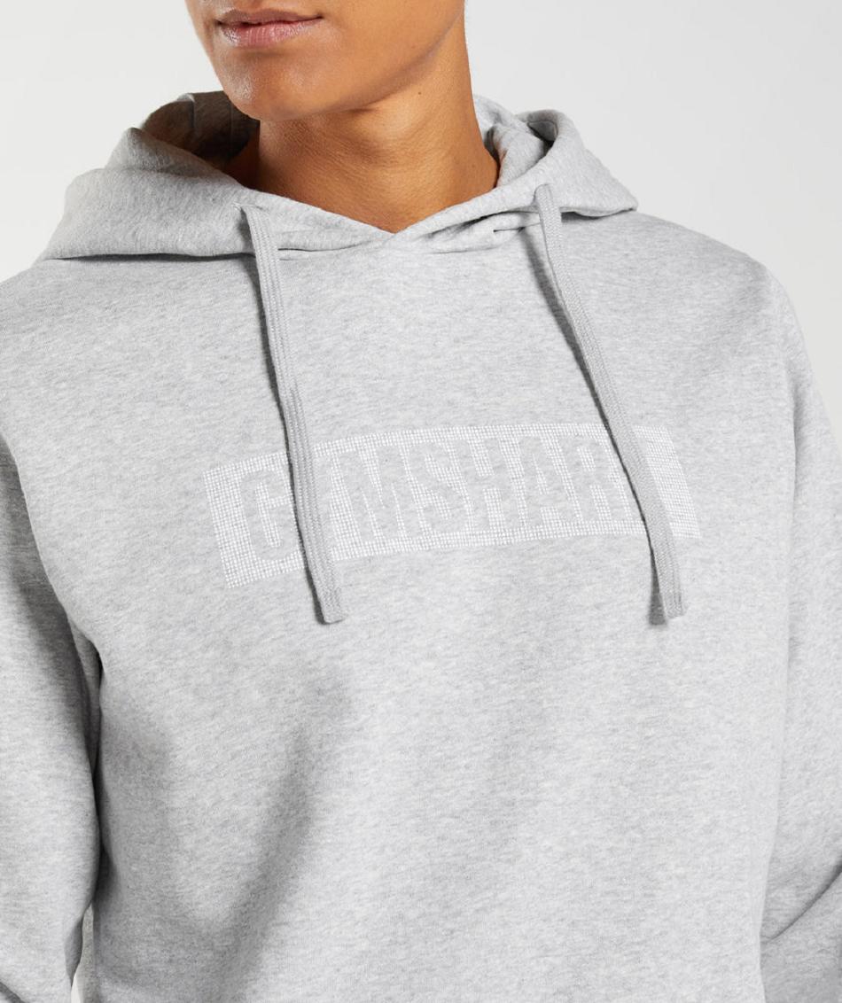 Φουτερ με Κουκουλα Gymshark Block ανδρικα ανοιχτο γκρι | GR_YJ2122