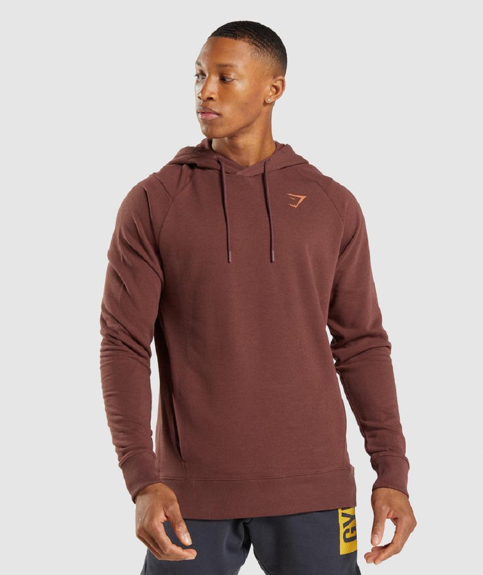 Φουτερ με Κουκουλα Gymshark Bold ανδρικα ροζ καφε | GR_AS5538