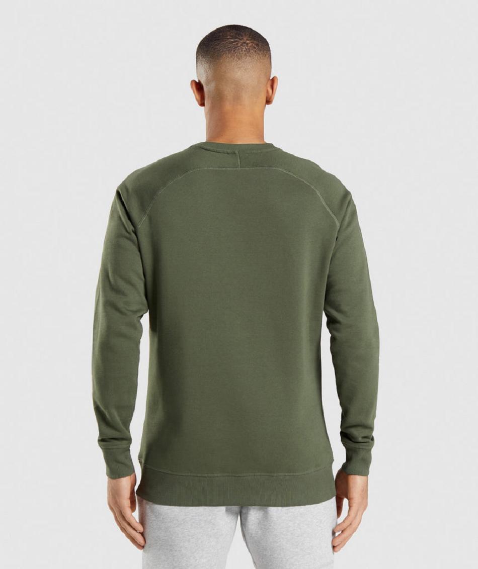 τρέξιμο με κουκούλα Gymshark Crest Sweatshirt ανδρικα Ελιά | GR_AS5794