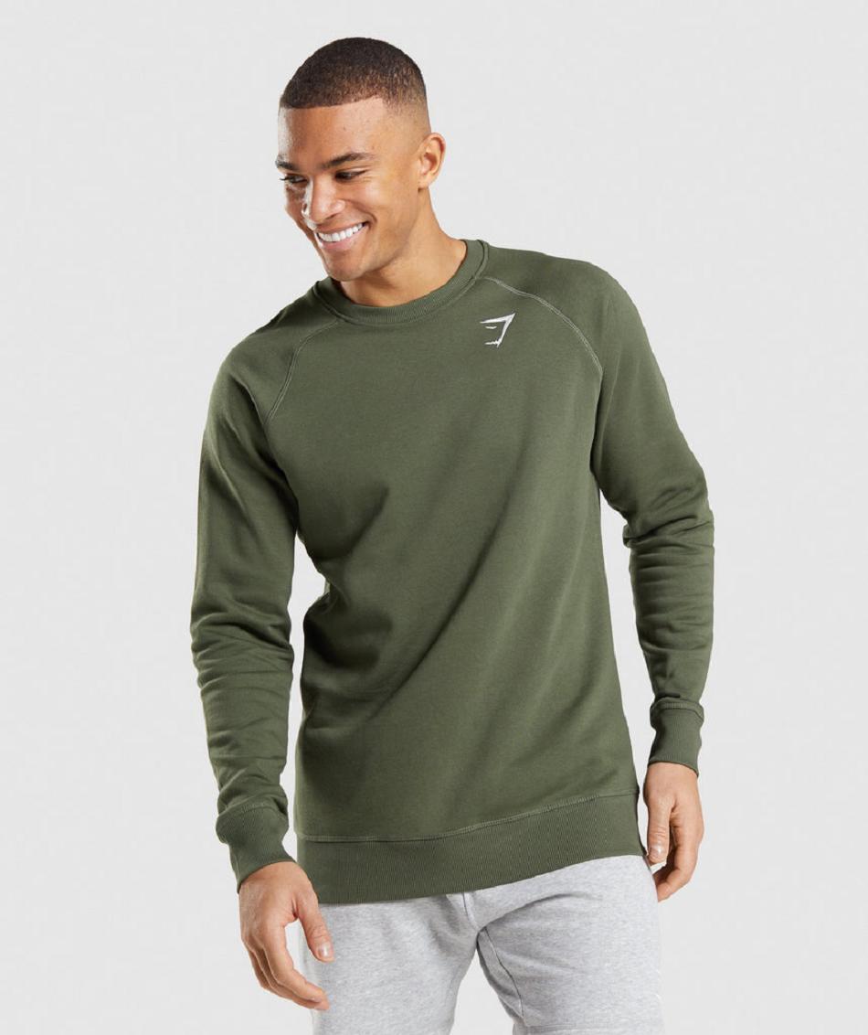 τρέξιμο με κουκούλα Gymshark Crest Sweatshirt ανδρικα Ελιά | GR_AS5794