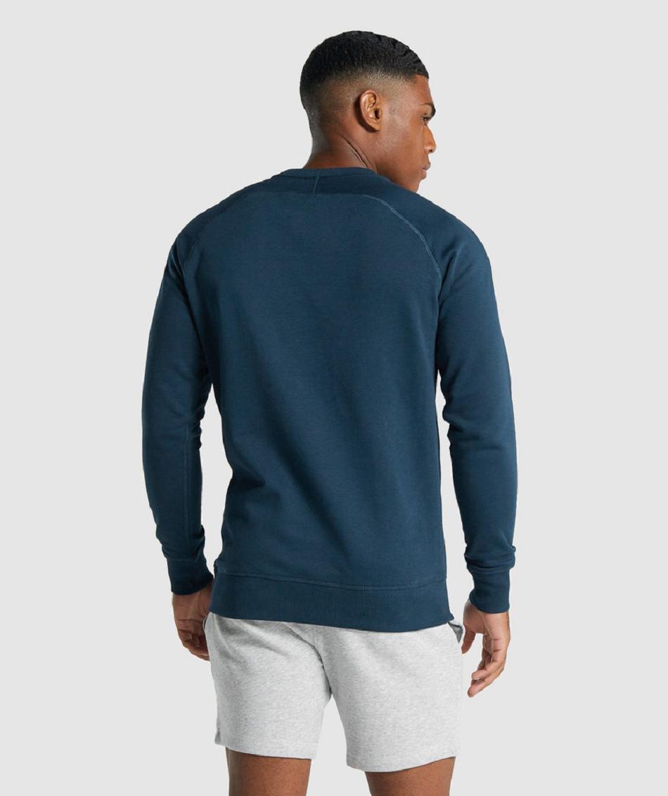 τρέξιμο με κουκούλα Gymshark Crest Sweatshirt ανδρικα σκουρο μπλε | GR_R3239