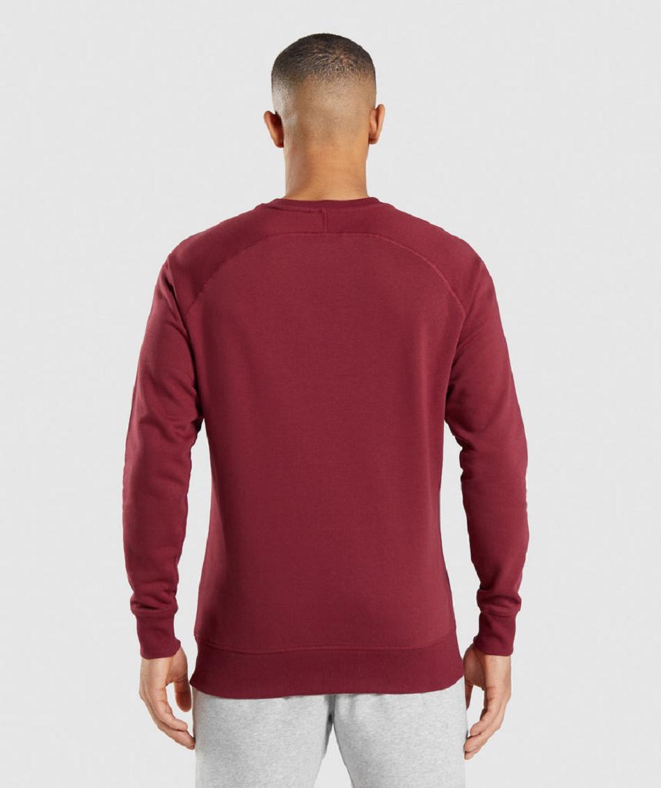τρέξιμο με κουκούλα Gymshark Crest Sweatshirt ανδρικα μπορντο κοκκινα | GR_YJ7192