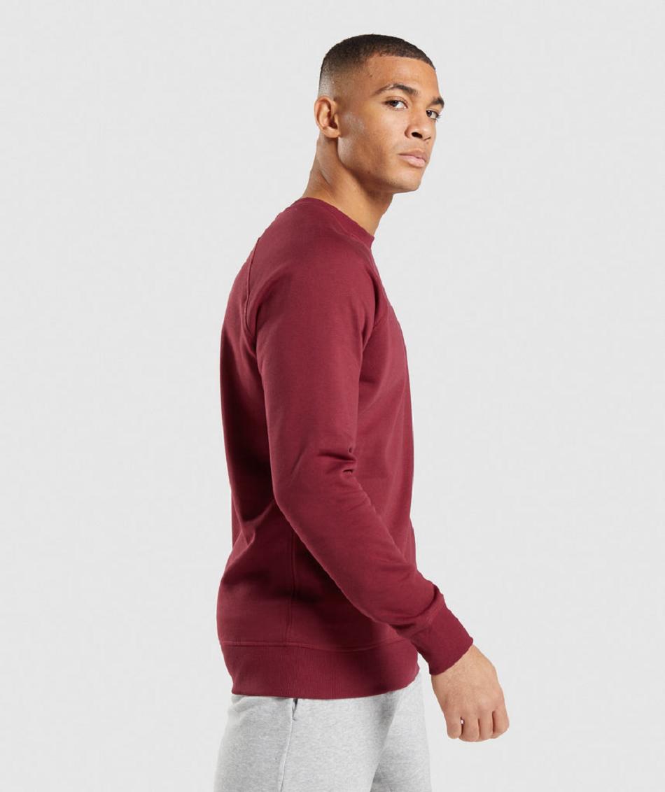 τρέξιμο με κουκούλα Gymshark Crest Sweatshirt ανδρικα μπορντο κοκκινα | GR_YJ7192