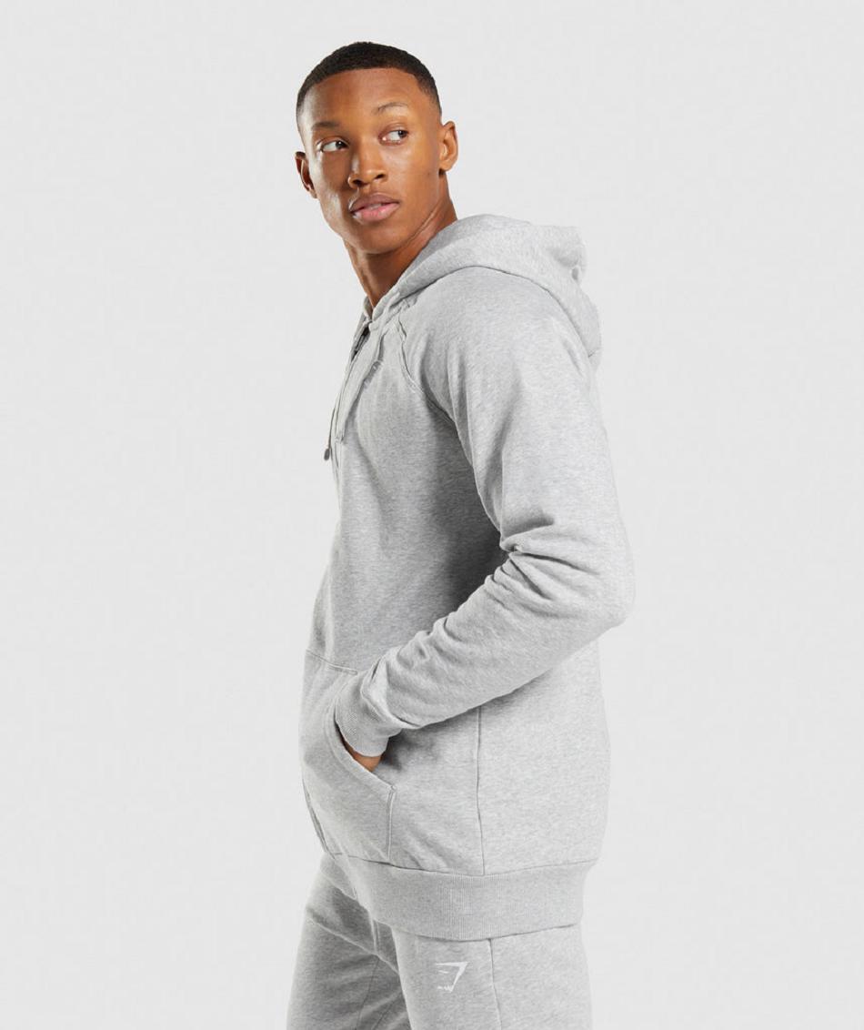 Φουτερ με Κουκουλα Gymshark Crest Zip Up ανδρικα ανοιχτο γκρι | GR_ED7546