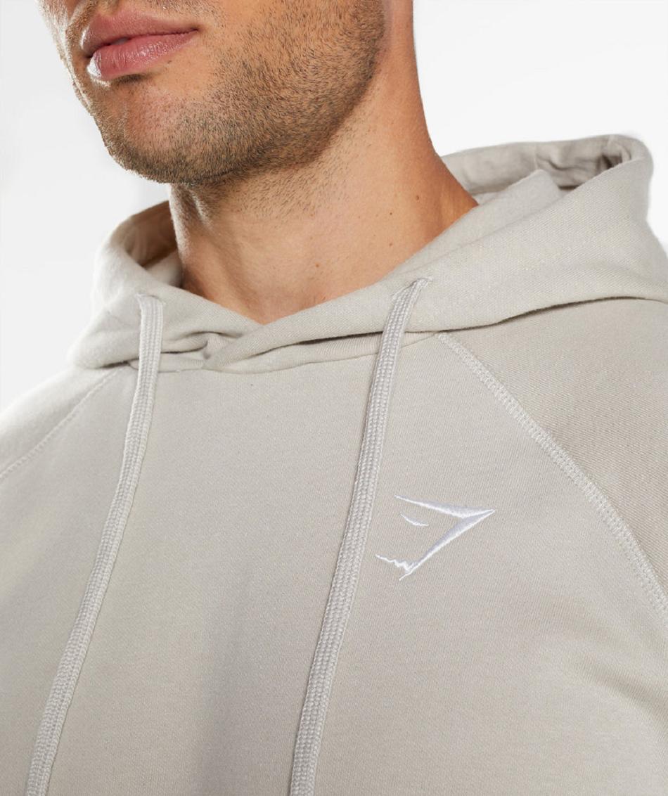 Φουτερ με Κουκουλα Gymshark Crest ανδρικα γκρι | GR_V4161