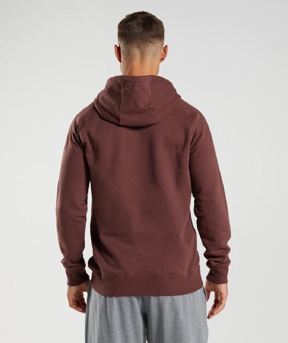 Φουτερ με Κουκουλα Gymshark Crest ανδρικα ροζ καφε | GR_O2556