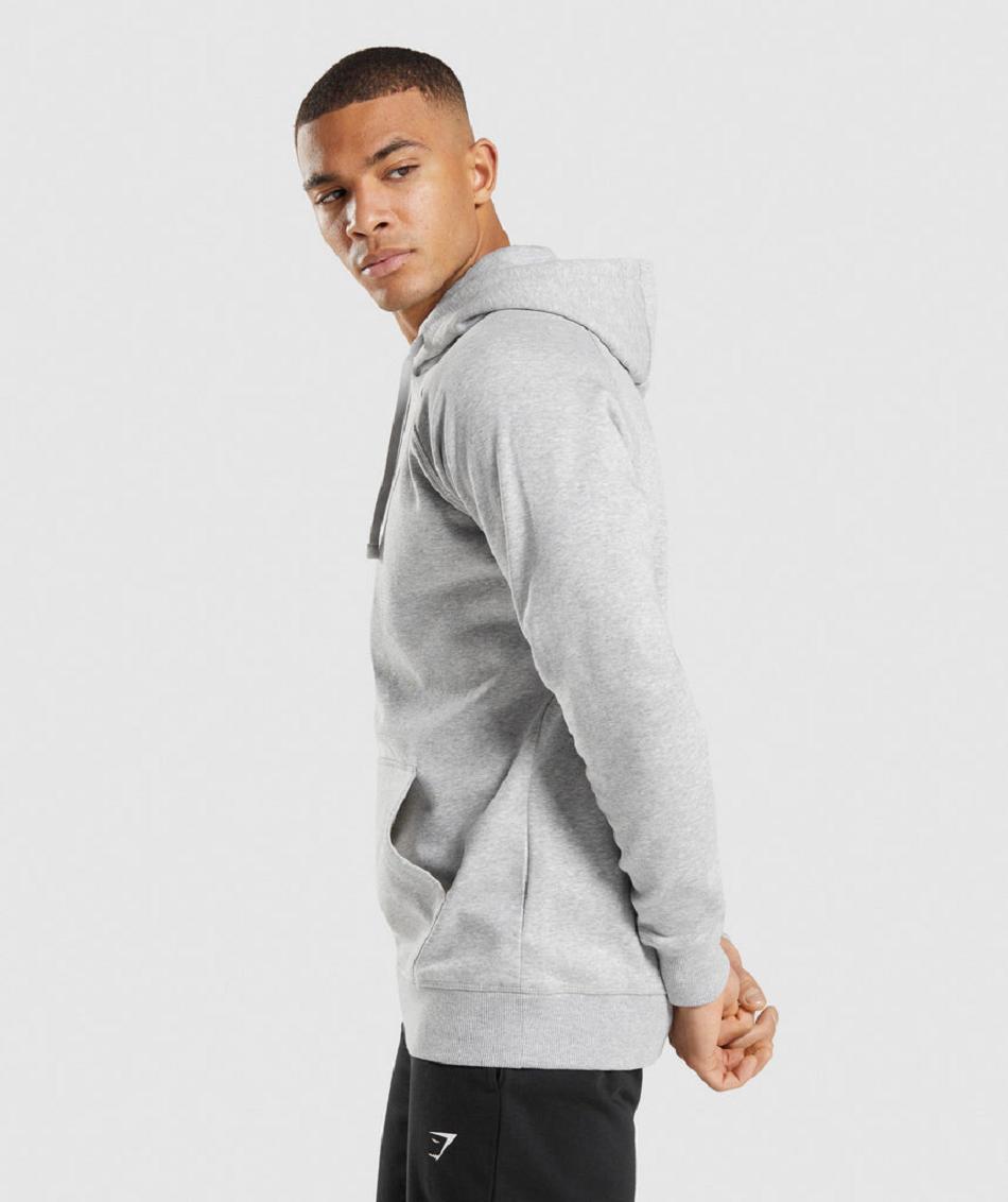 Φουτερ με Κουκουλα Gymshark Crest ανδρικα ανοιχτο γκρι | GR_S7831