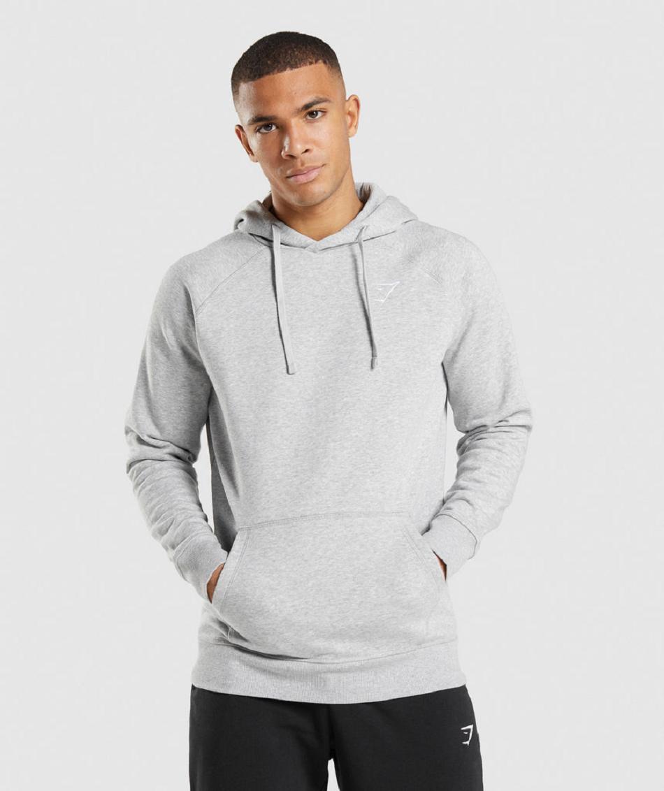 Φουτερ με Κουκουλα Gymshark Crest ανδρικα ανοιχτο γκρι | GR_S7831