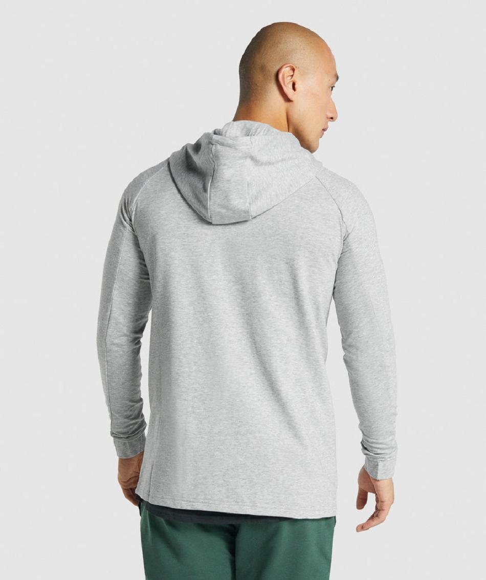 Φουτερ με Κουκουλα Gymshark Critical 2.0 Zip Up ανδρικα ανοιχτο γκρι | GR_TA5600