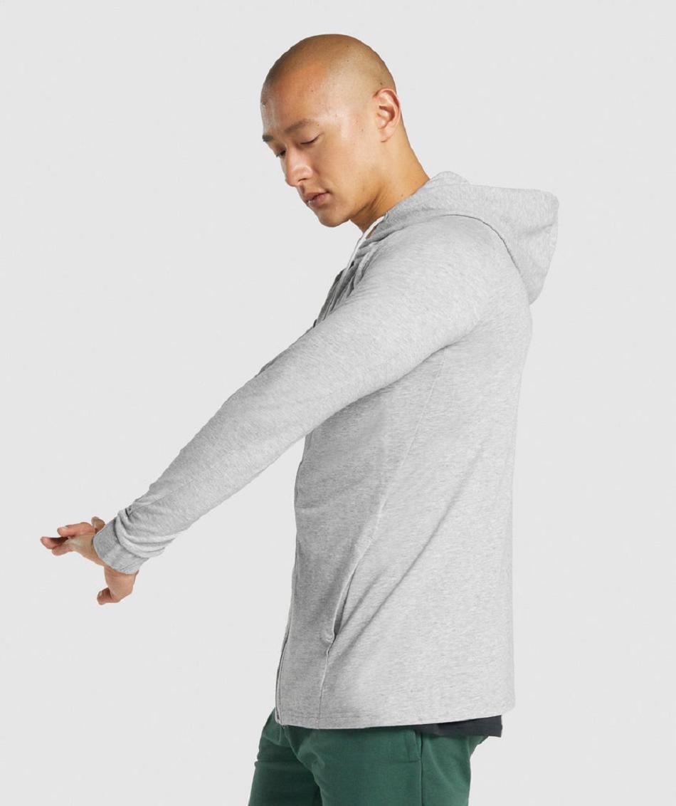 Φουτερ με Κουκουλα Gymshark Critical 2.0 Zip Up ανδρικα ανοιχτο γκρι | GR_YJ6583