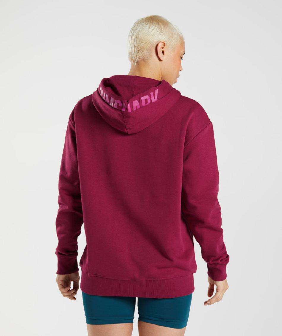 Φουτερ με Κουκουλα Gymshark Graphics Fraction γυναικεια ροζ | GR_AZ4892
