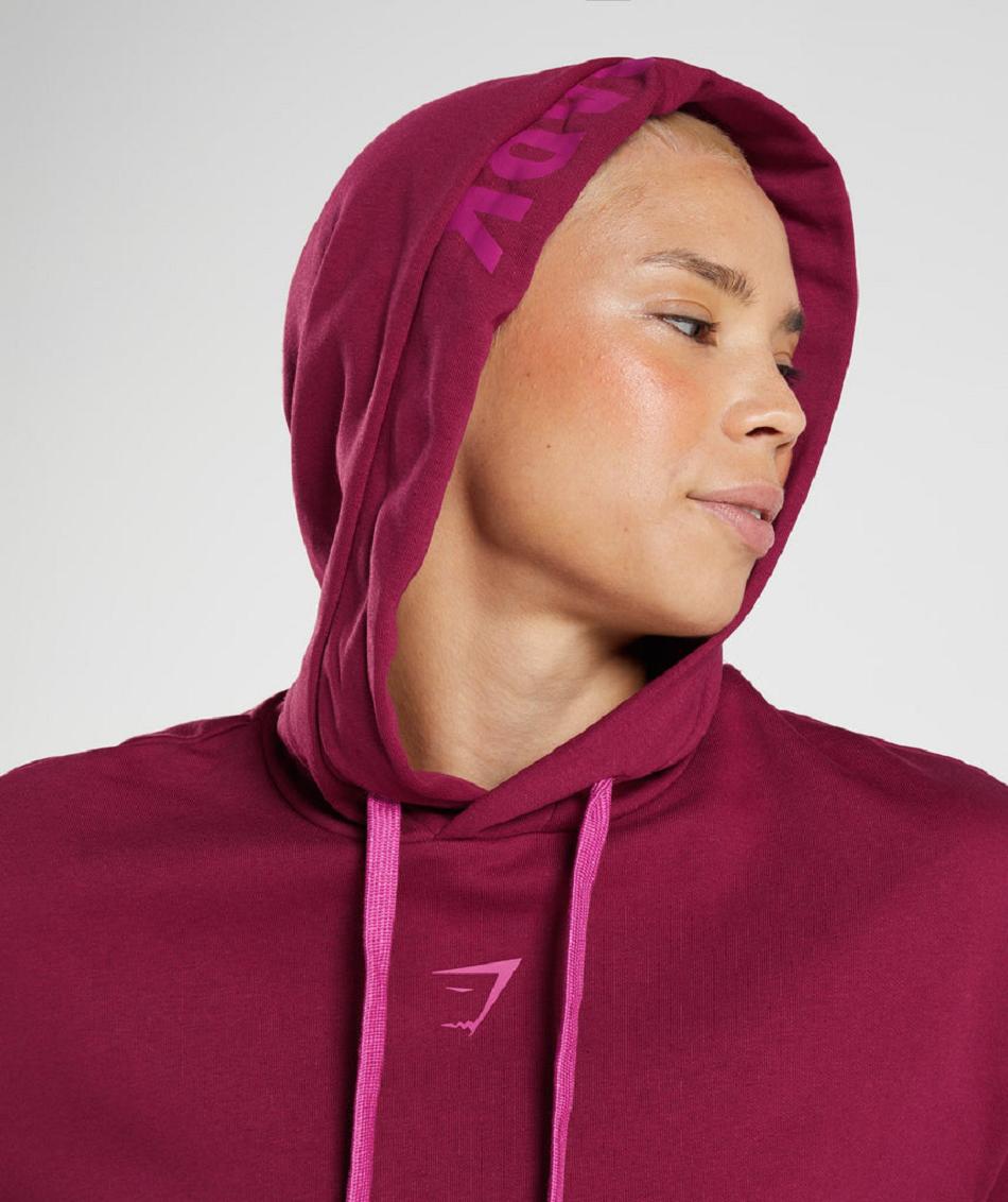 Φουτερ με Κουκουλα Gymshark Graphics Fraction γυναικεια ροζ | GR_AZ4892