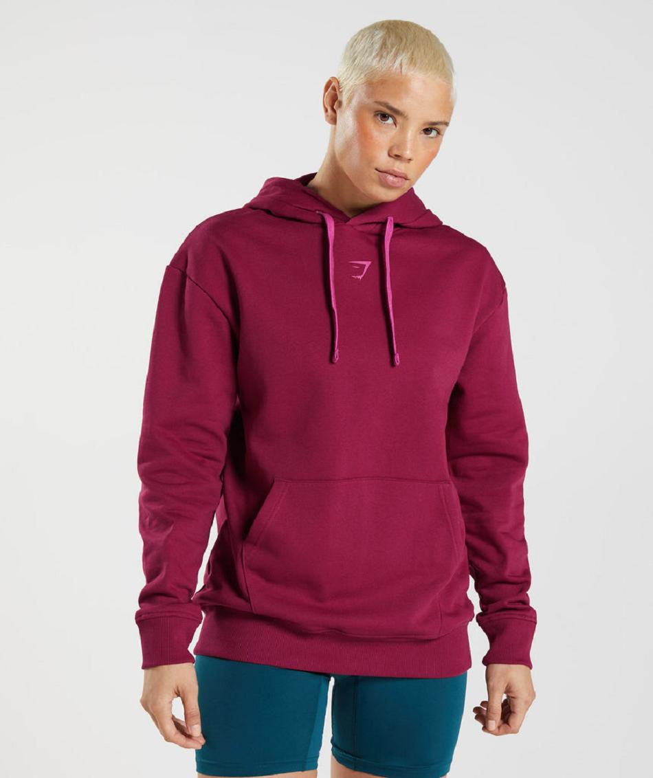 Φουτερ με Κουκουλα Gymshark Graphics Fraction γυναικεια ροζ | GR_AZ4892