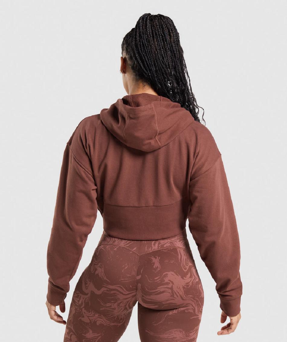Φουτερ με Κουκουλα Gymshark Gs Power Cropped Zip γυναικεια καφε | GR_K3759