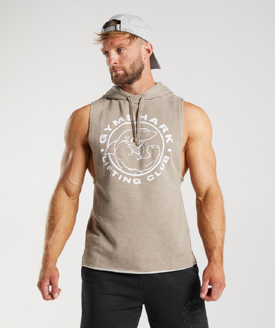 Φουτερ με Κουκουλα Gymshark Legacy Drop Arm ανδρικα γκρι | GR_SU1918