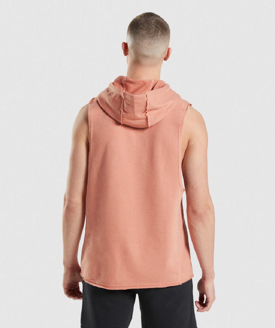 Φουτερ με Κουκουλα Gymshark Legacy Drop Arm ανδρικα ροζ | GR_TH7920