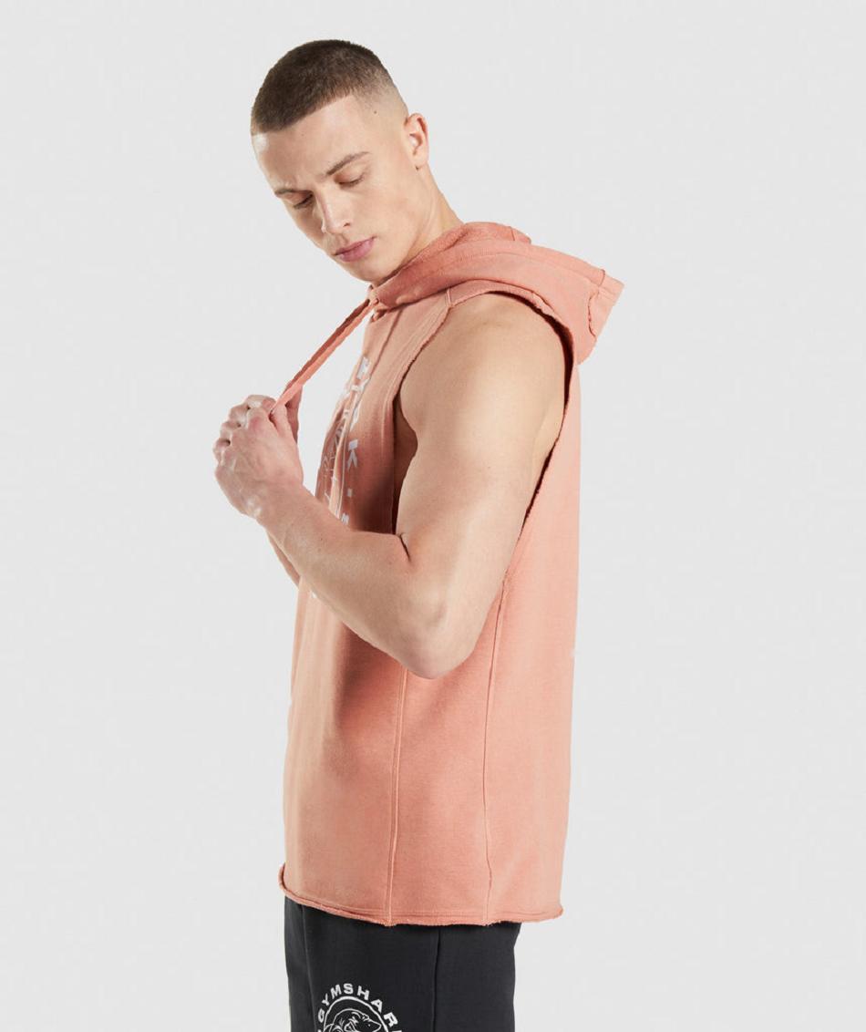 Φουτερ με Κουκουλα Gymshark Legacy Drop Arm ανδρικα ροζ | GR_TH7920