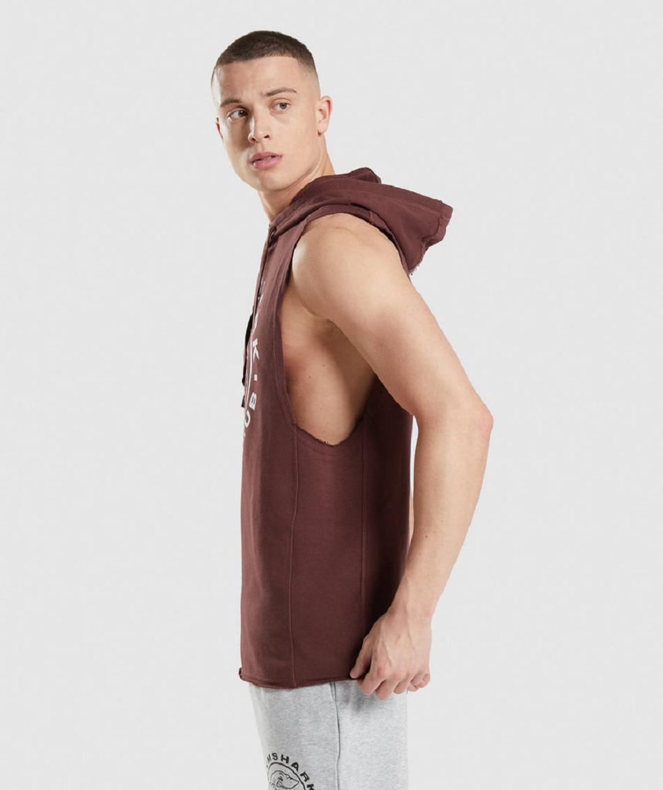 Φουτερ με Κουκουλα Gymshark Legacy Drop Arm ανδρικα ροζ καφε | GR_V6063