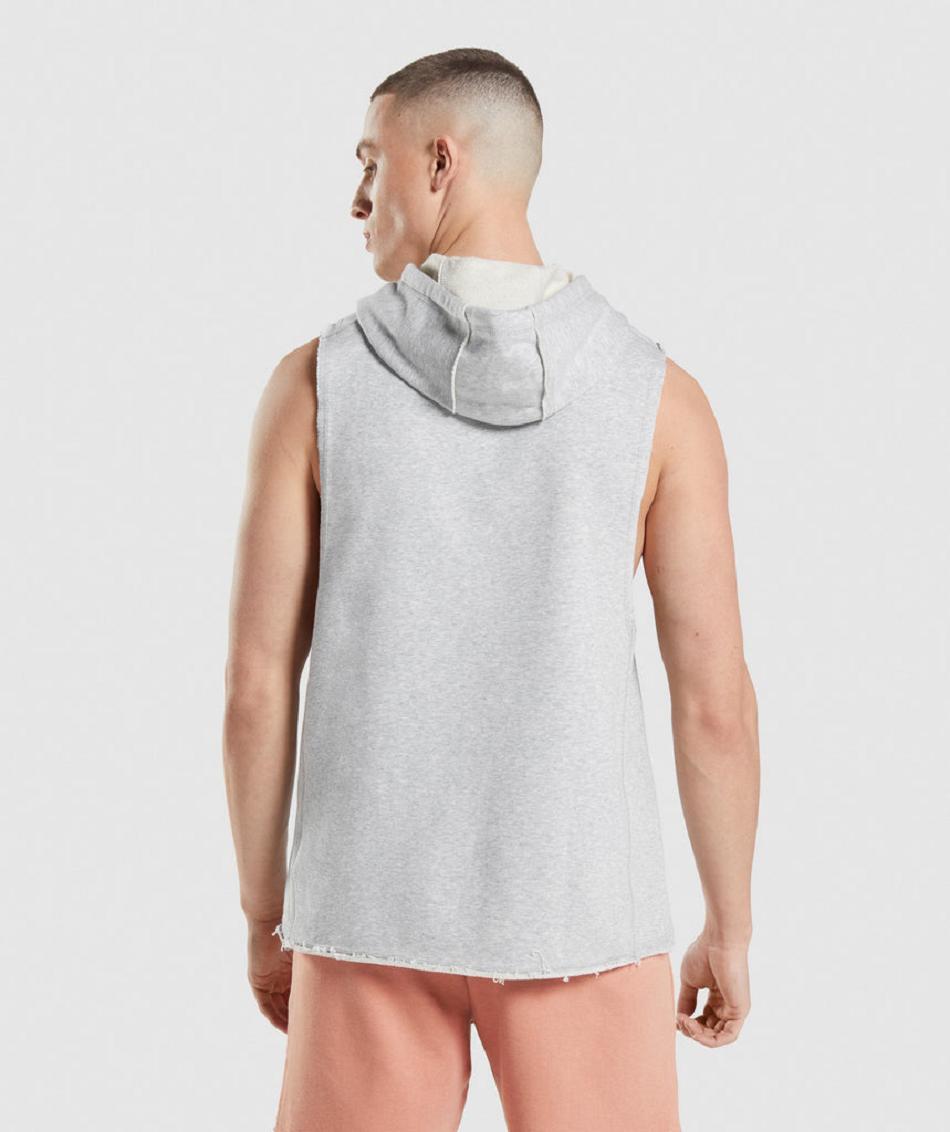 Φουτερ με Κουκουλα Gymshark Legacy Drop Arm ανδρικα ανοιχτο γκρι | GR_ZI1829