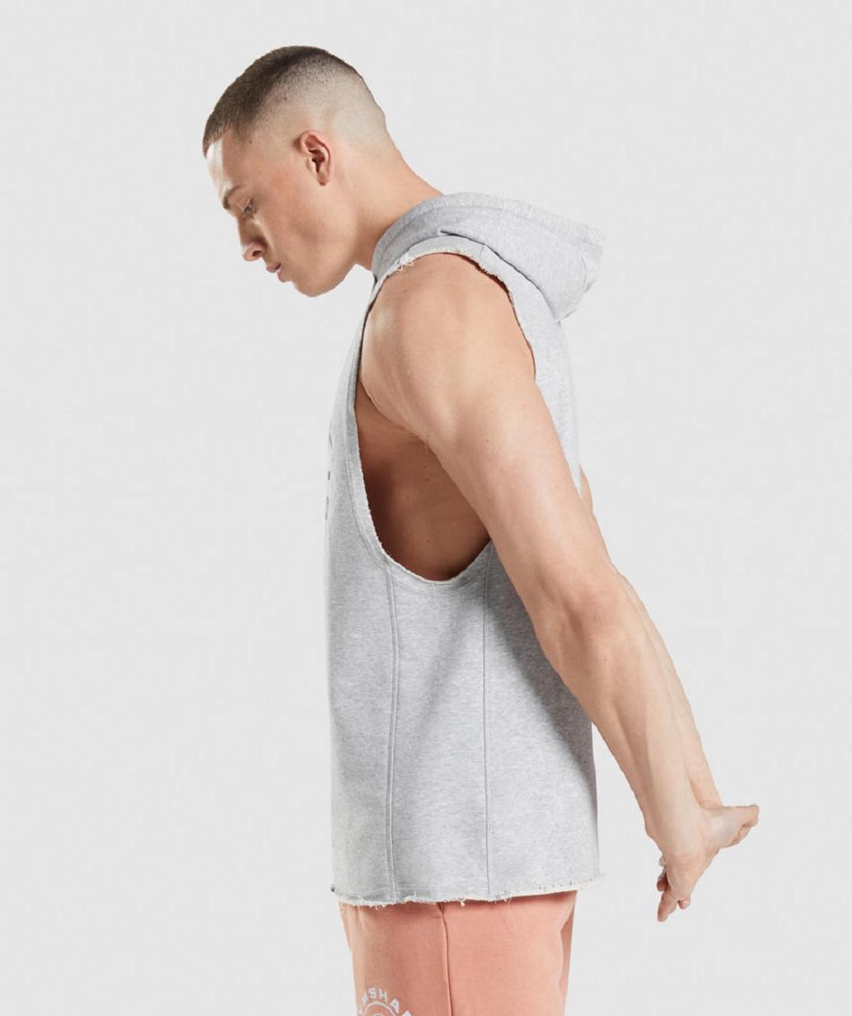 Φουτερ με Κουκουλα Gymshark Legacy Drop Arm ανδρικα ανοιχτο γκρι | GR_ZI1829