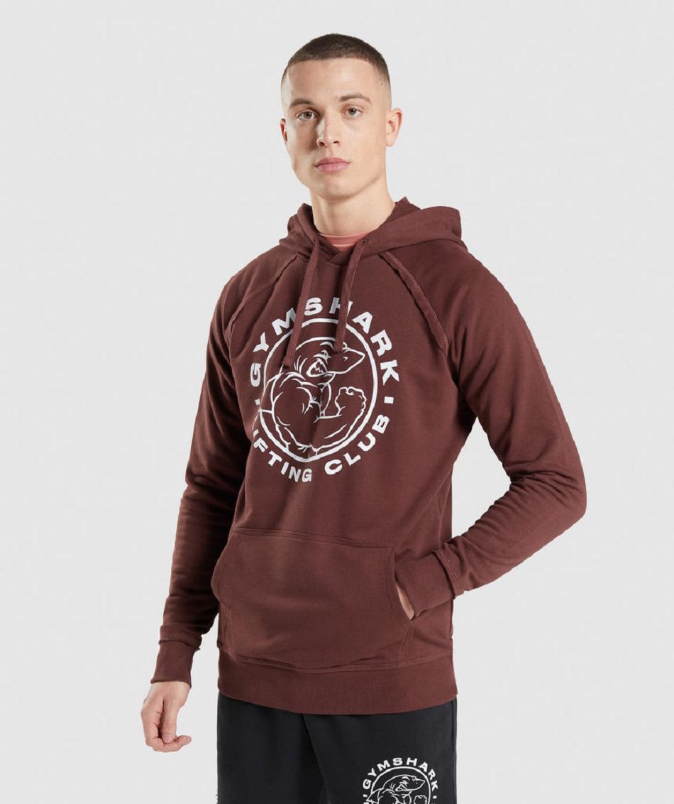 Φουτερ με Κουκουλα Gymshark Legacy ανδρικα ροζ καφε | GR_XC7623