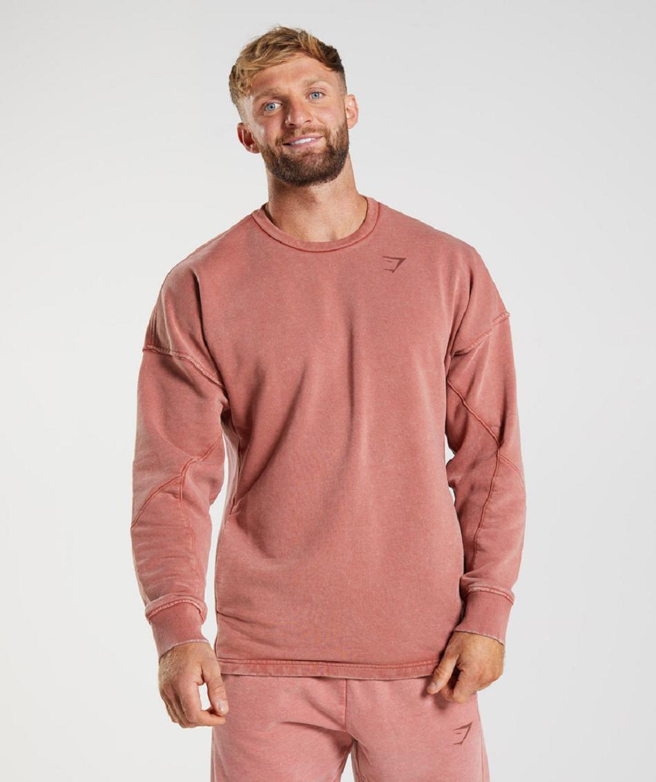 τρέξιμο με κουκούλα Gymshark Power Washed Crew ανδρικα ροζ καφε | GR_EG4322