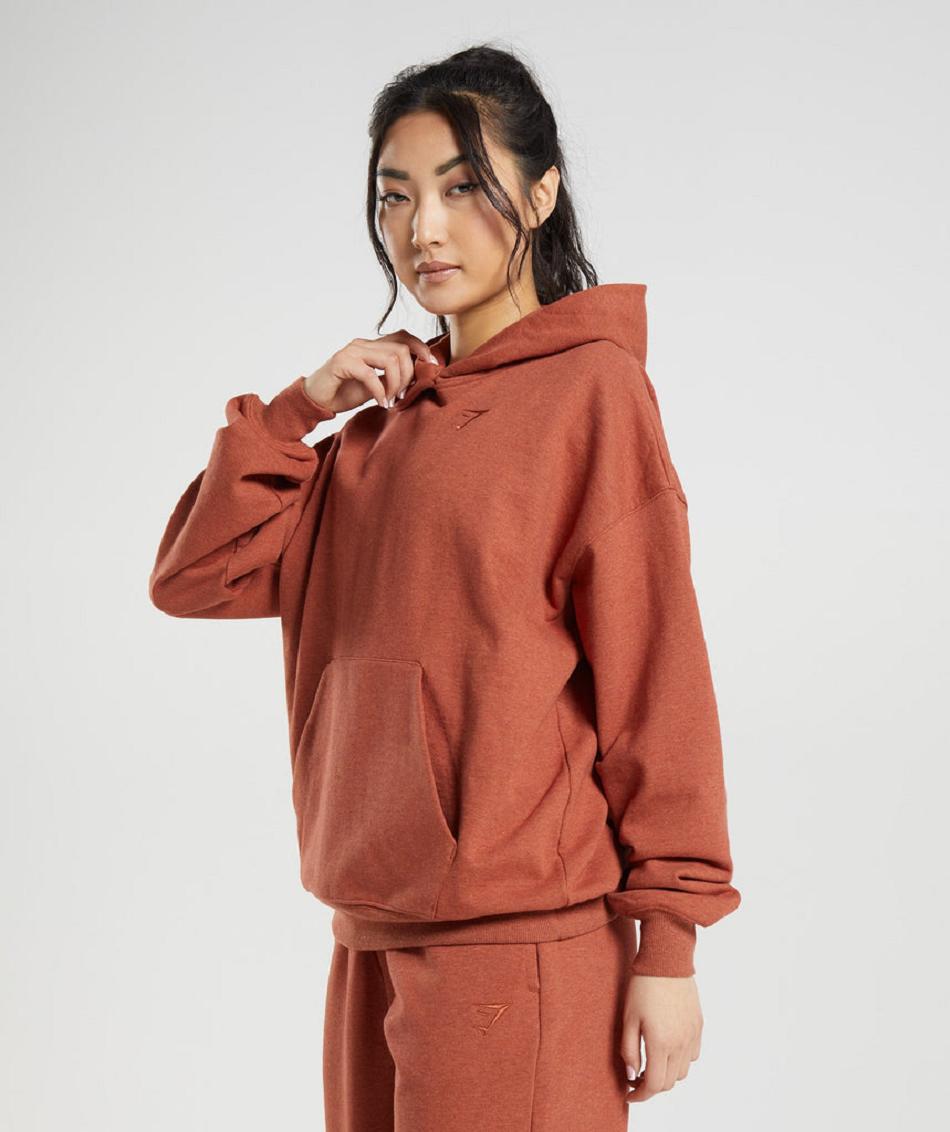 Φουτερ με Κουκουλα Gymshark Rest Day Sweats γυναικεια καφε | GR_NN3997