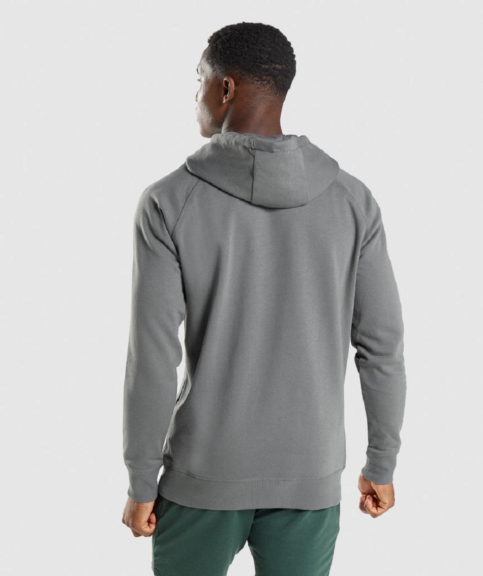 Φουτερ με Κουκουλα Gymshark Sharkhead Infill ανδρικα γκρι | GR_SG4687