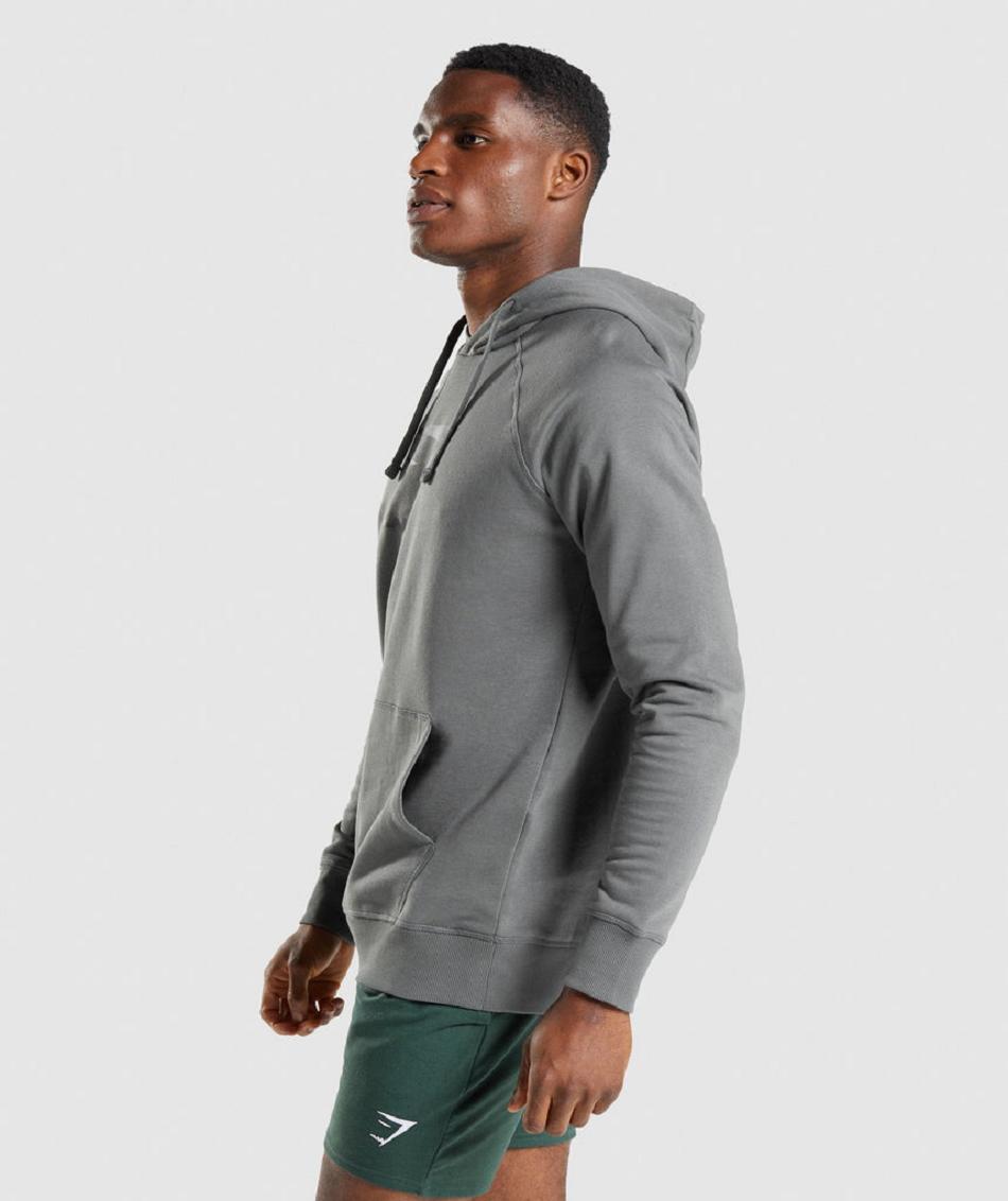 Φουτερ με Κουκουλα Gymshark Sharkhead Infill ανδρικα γκρι | GR_SG4687