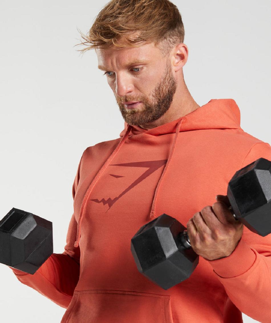 Φουτερ με Κουκουλα Gymshark Sharkhead Infill ανδρικα κοκκινα | GR_VV6832