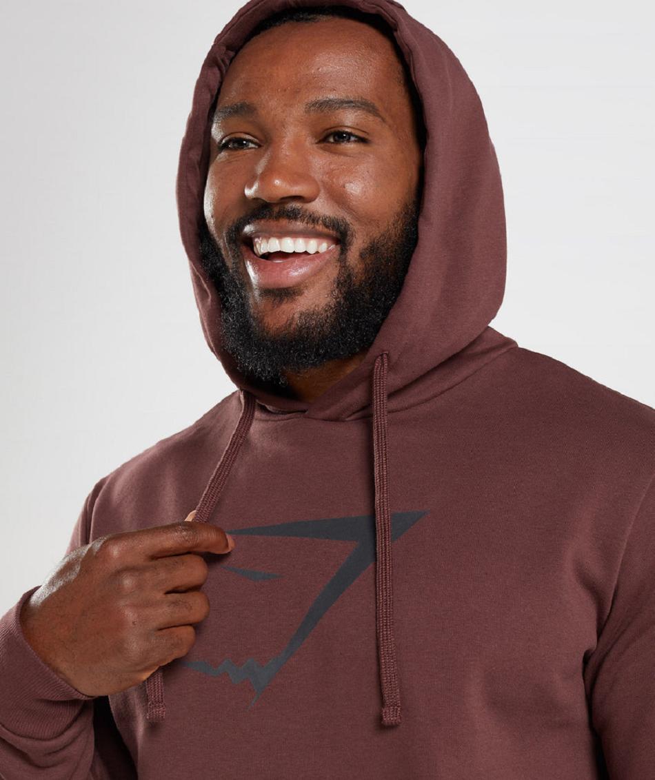 Φουτερ με Κουκουλα Gymshark Sharkhead Infill ανδρικα ροζ καφε | GR_TA9485