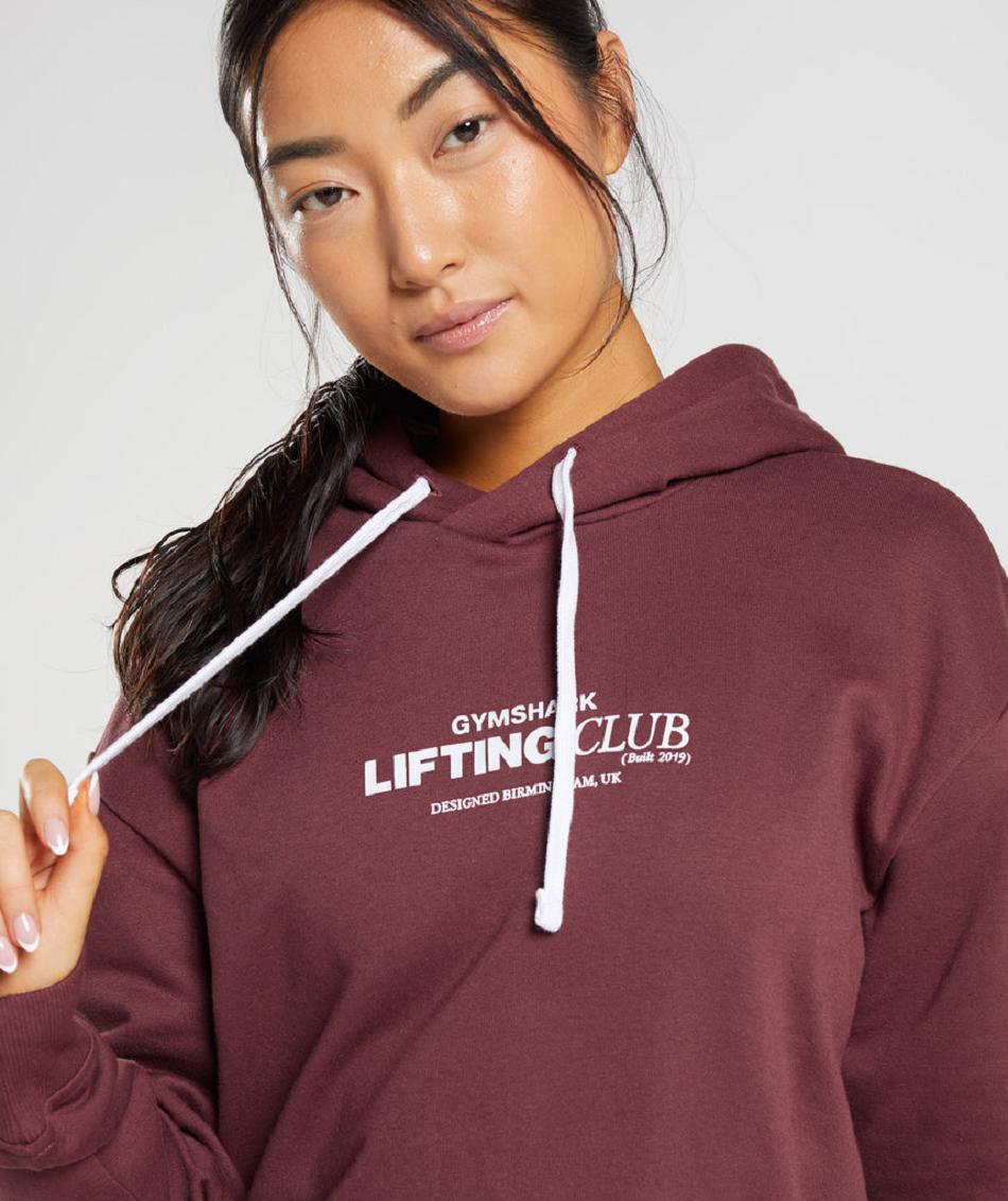 Φουτερ με Κουκουλα Gymshark Social Club Oversized γυναικεια ροζ καφε | GR_N6769