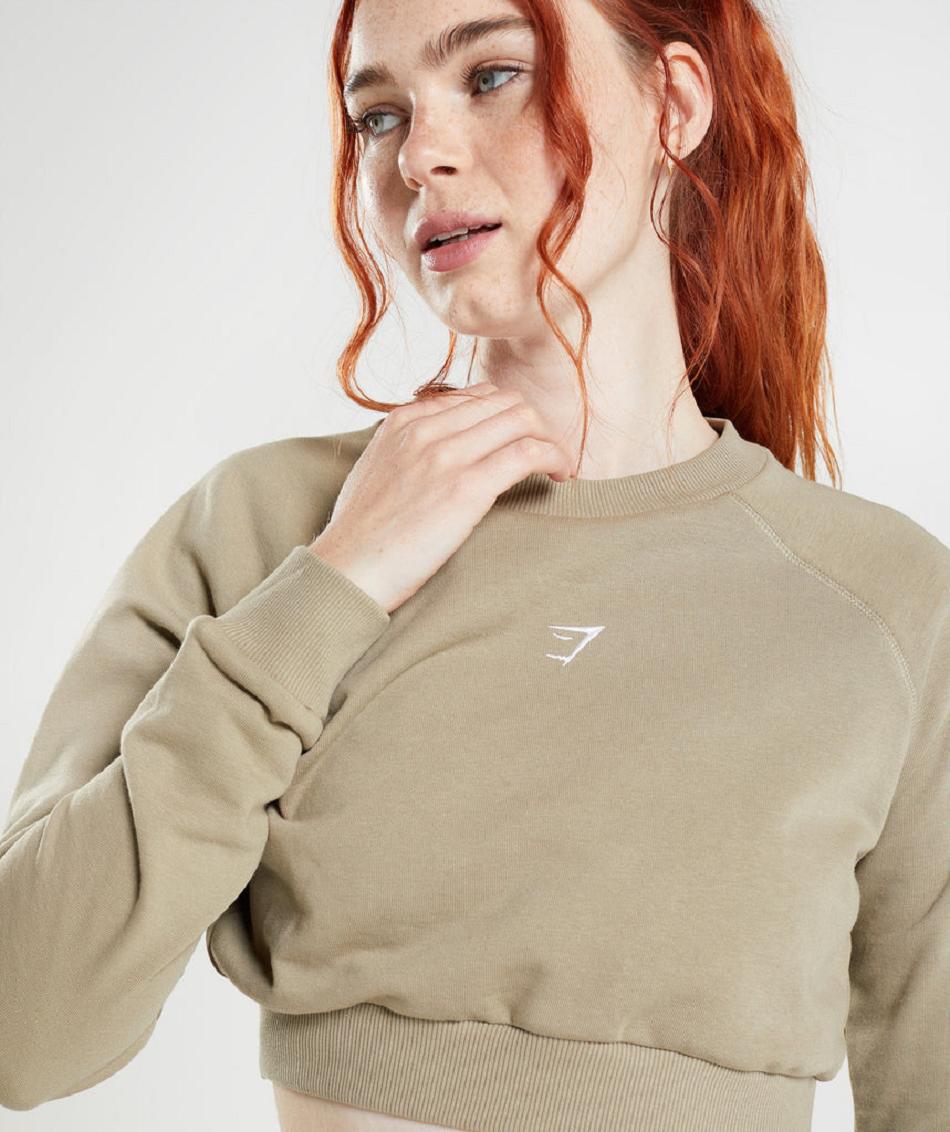 τρέξιμο με κουκούλα Gymshark Training Cropped Sweater γυναικεια καφε | GR_CR1379