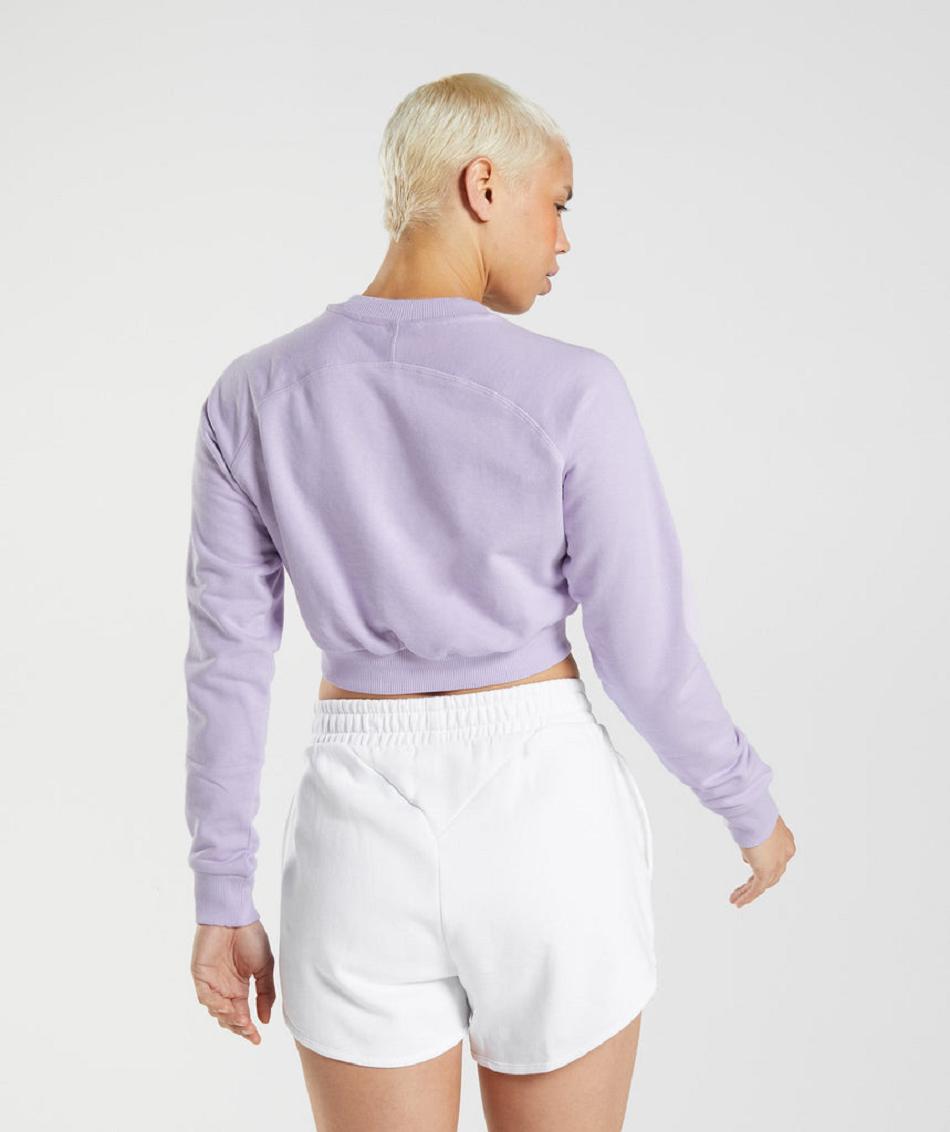 τρέξιμο με κουκούλα Gymshark Training Cropped Sweater γυναικεια μωβ | GR_AS6491