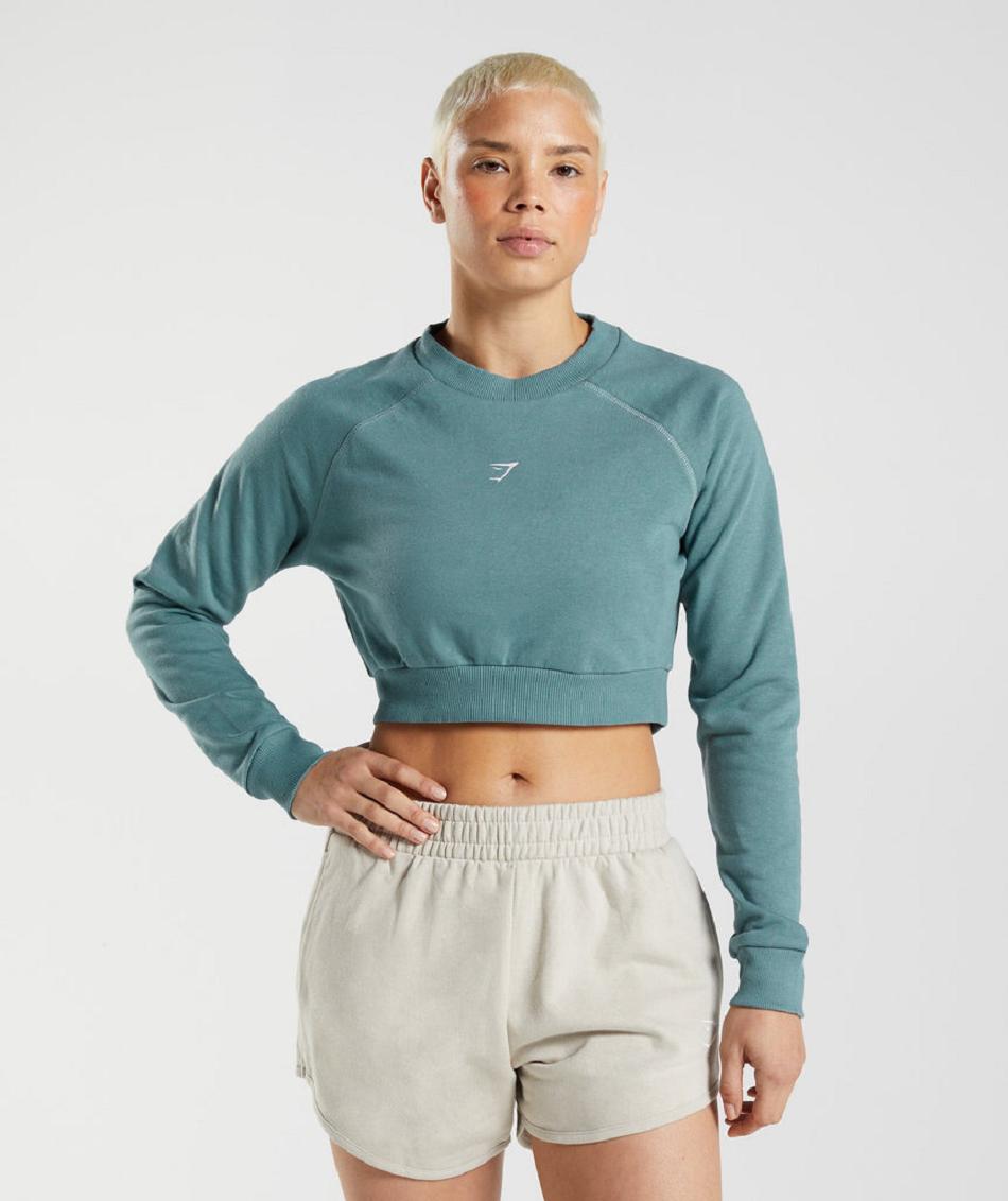 τρέξιμο με κουκούλα Gymshark Training Cropped Sweater γυναικεια μπλε | GR_SG7722