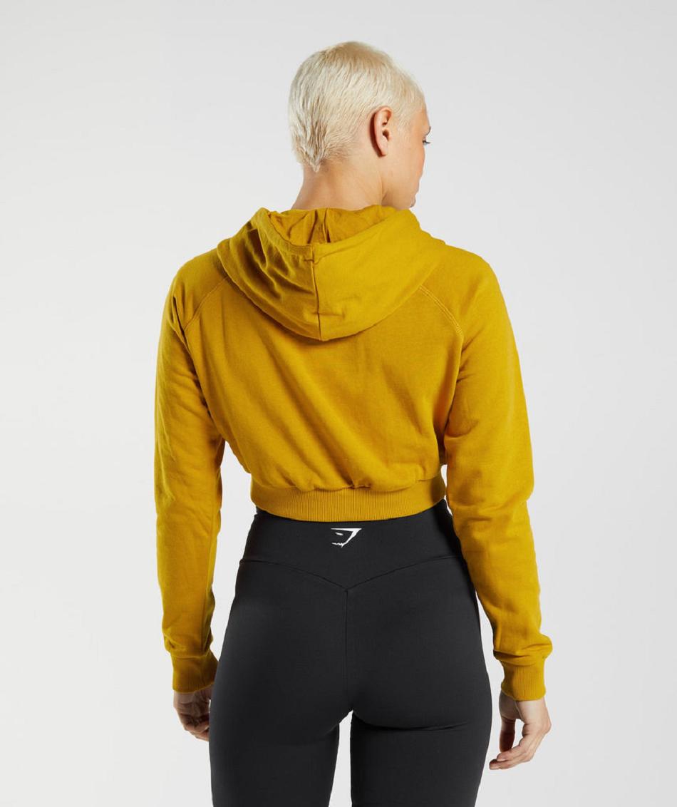 Φουτερ με Κουκουλα Gymshark Training Cropped γυναικεια κίτρινα | GR_TA1389