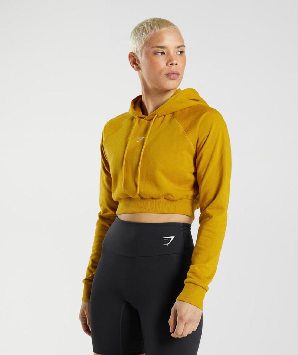 Φουτερ με Κουκουλα Gymshark Training Cropped γυναικεια κίτρινα | GR_TA1389