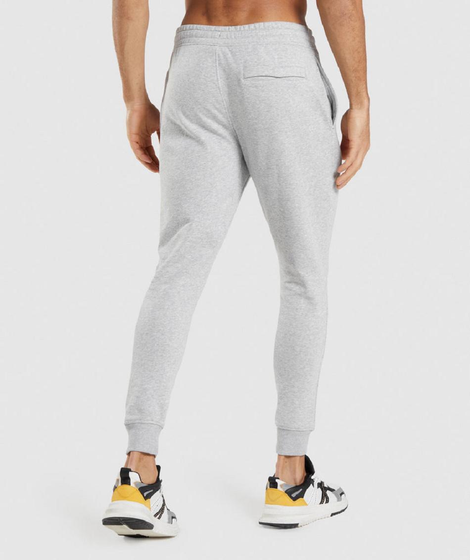 παντελονι jogger Gymshark Crest ανδρικα ανοιχτο γκρι | GR_YJ6376