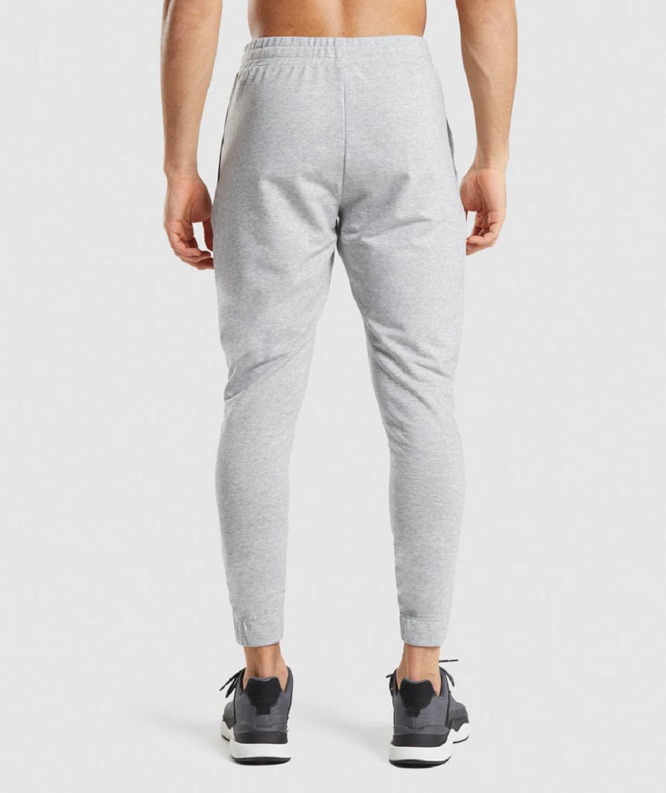 παντελονι jogger Gymshark Critical 2.0 ανδρικα ανοιχτο γκρι | GR_ED9179